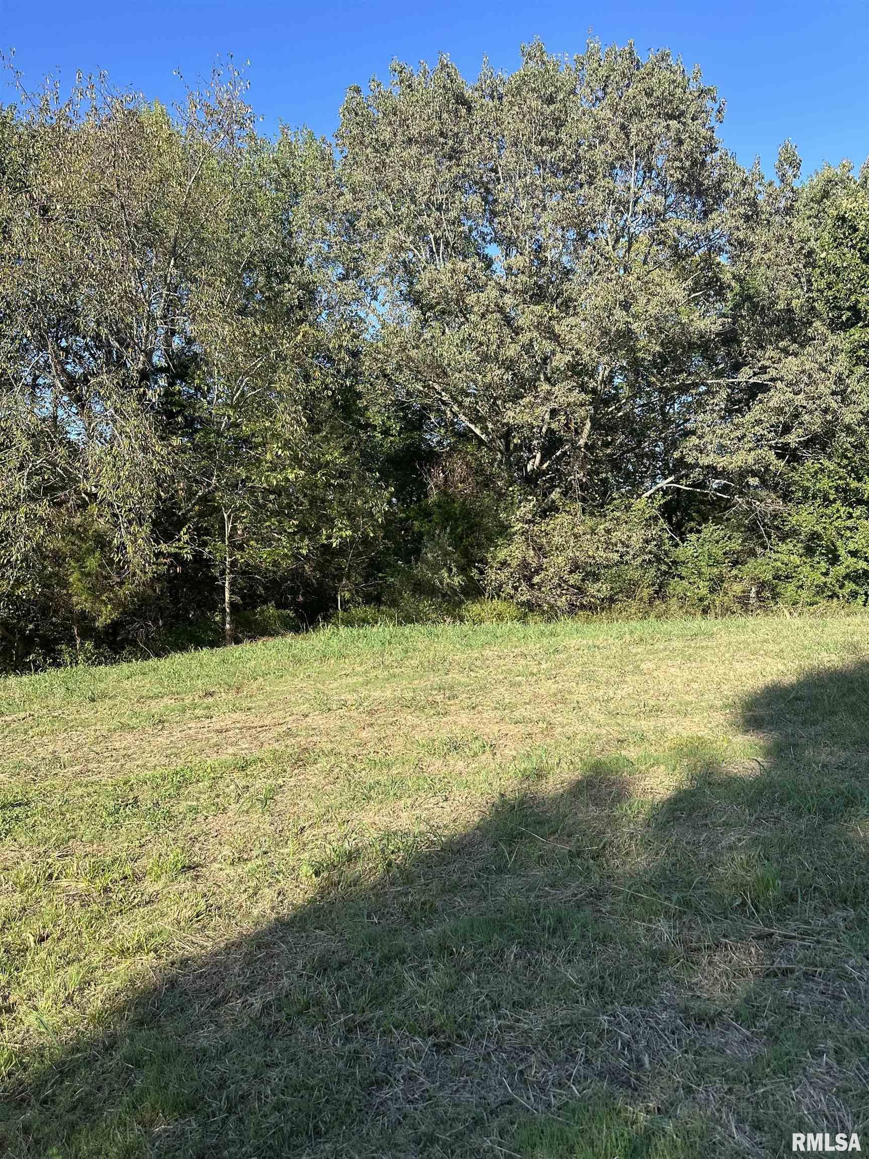 0 Center Church Road Villa Ridge, IL 62996 - Photo 3 of 7