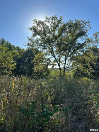 $49,000 | 0 Center Church Road, Villa Ridge, IL 62996