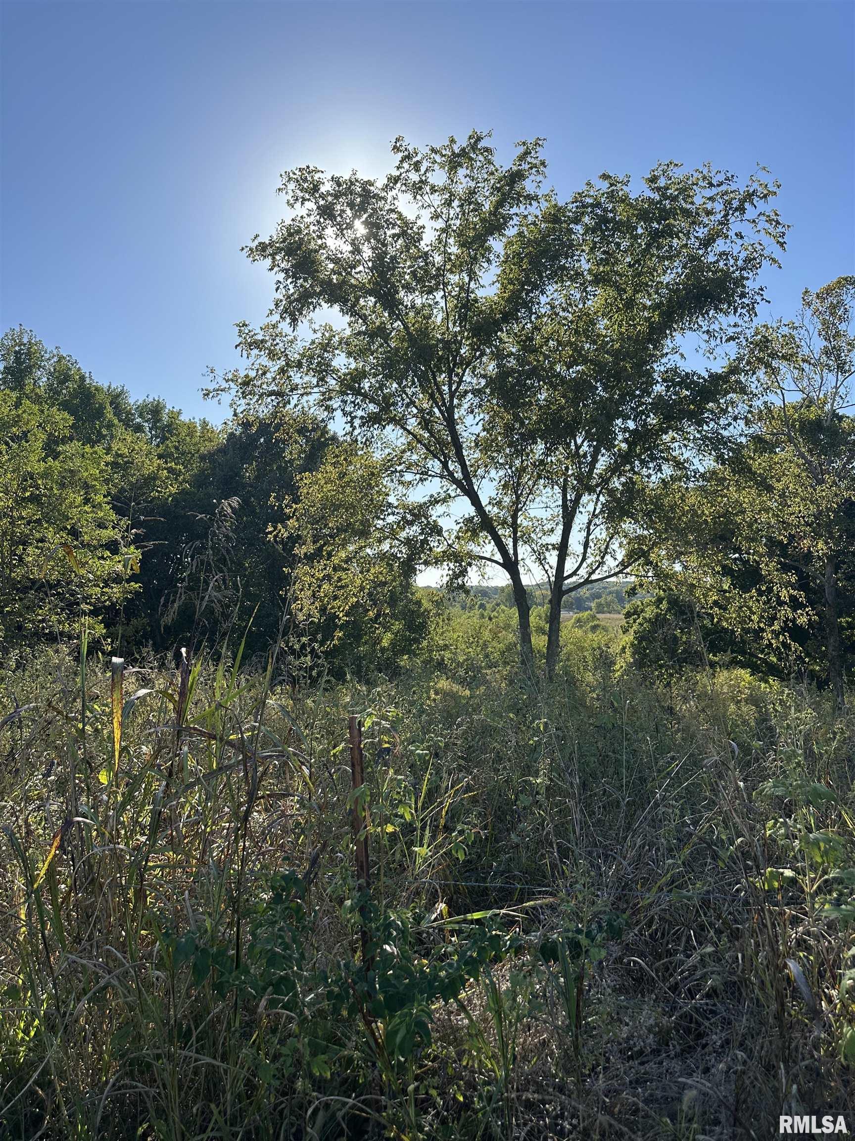 0 Center Church Road Villa Ridge, IL 62996 - Photo 6 of 7