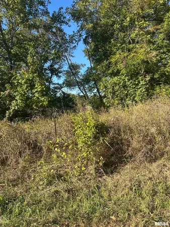 $49,000 | 0 Center Church Road, Villa Ridge, IL 62996