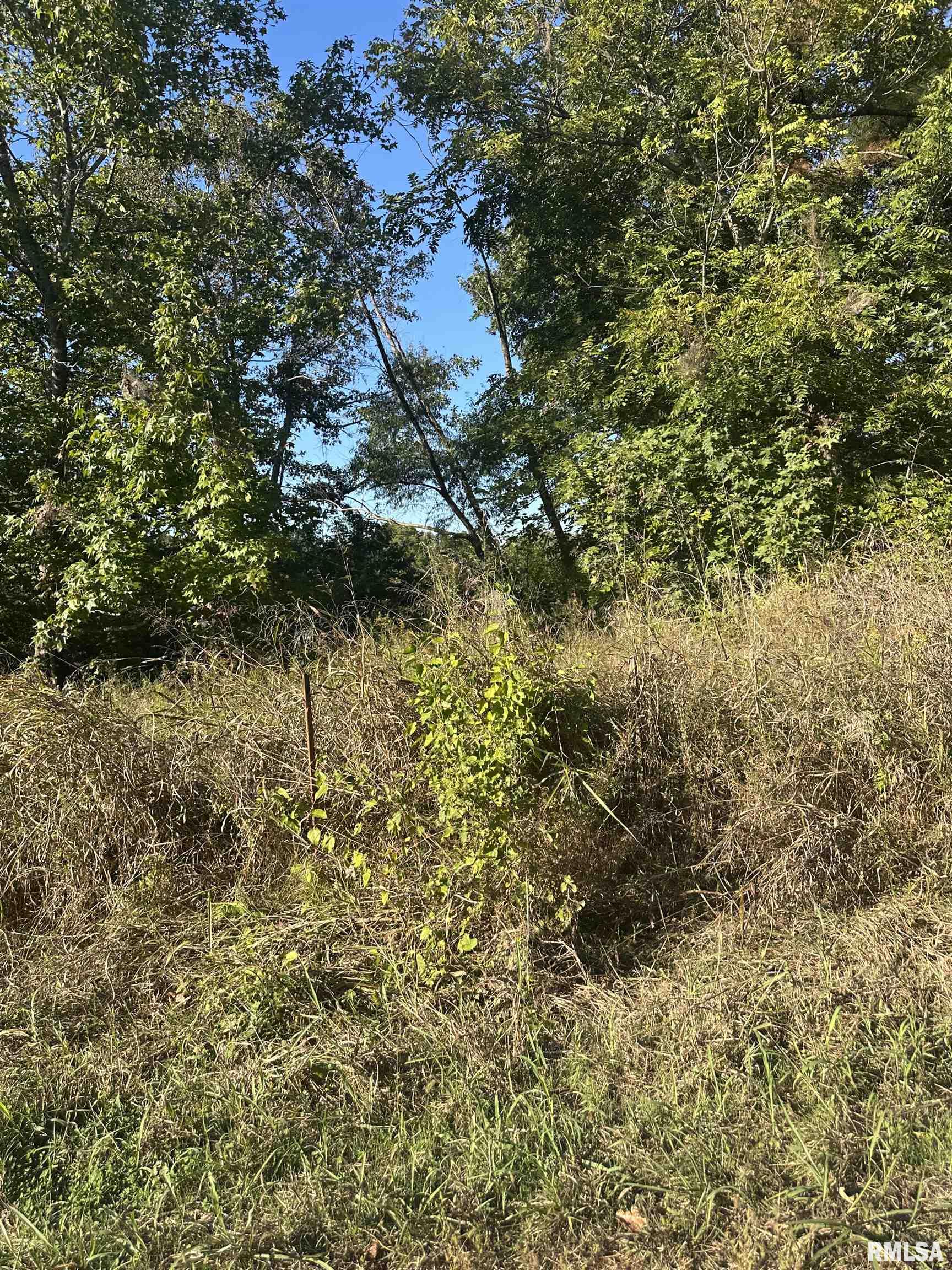 0 Center Church Road Villa Ridge, IL 62996 - Photo 7 of 7