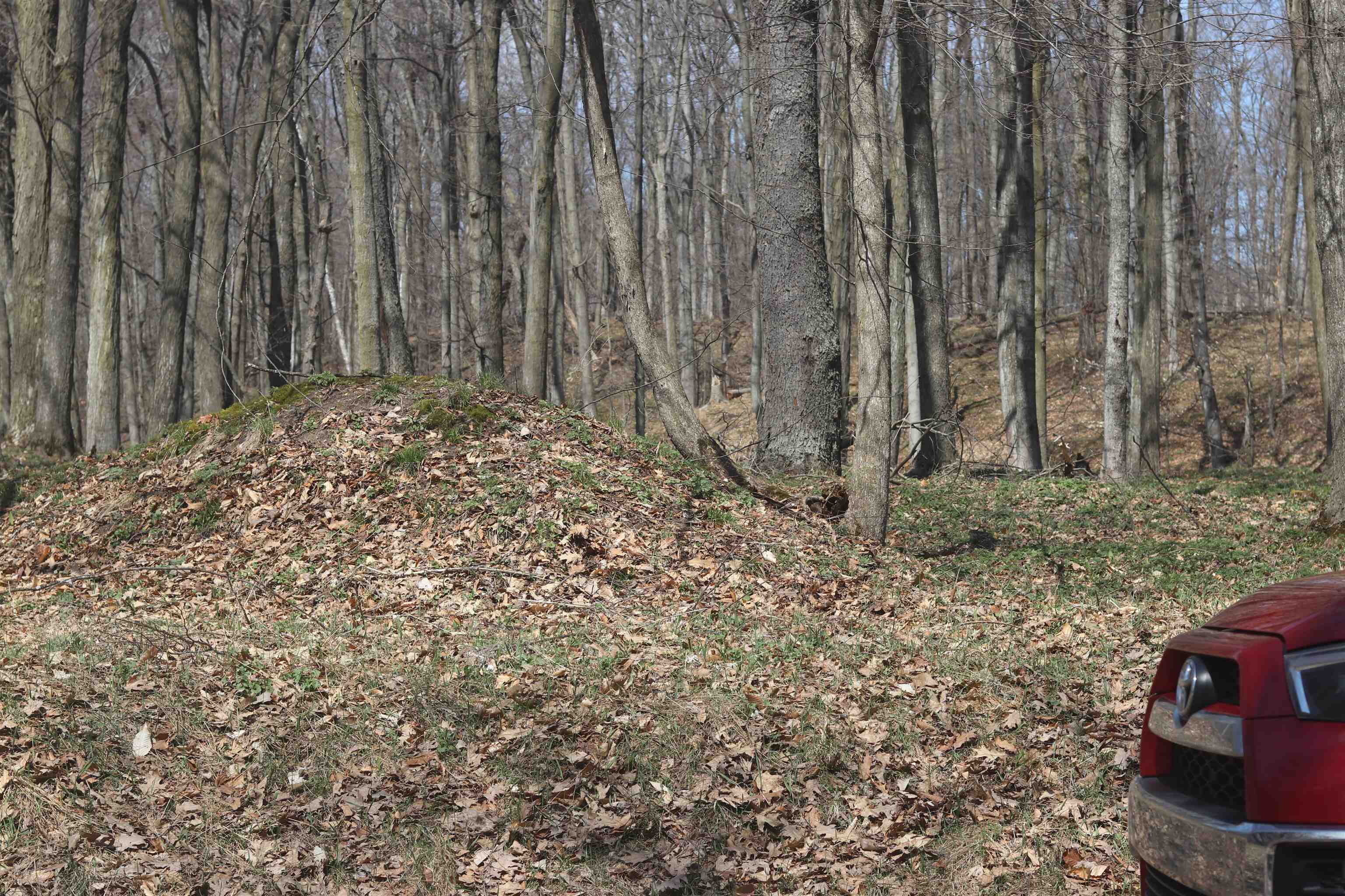 Lot 5 Crystal View Common Frankfort, MI 49635 - Photo 12 of 15