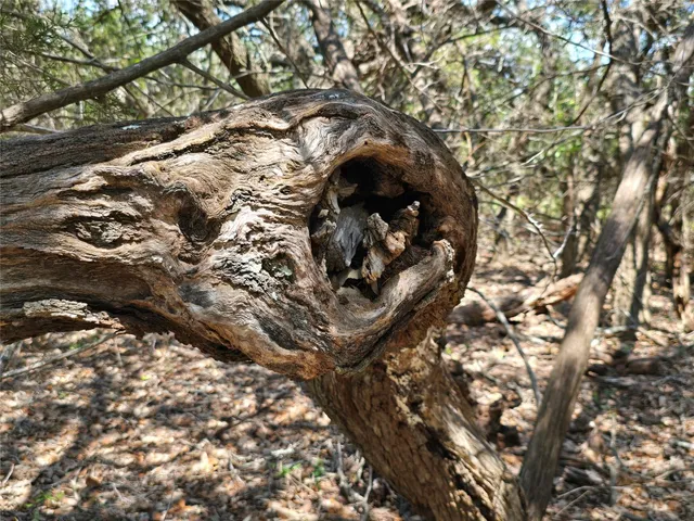 $550,000 | 206 Burnet Tx 78611, Lampasas, TX 76550