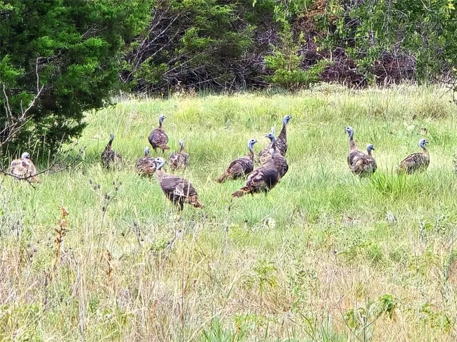 $550,000 | 206 Burnet Tx 78611, Lampasas, TX 76550