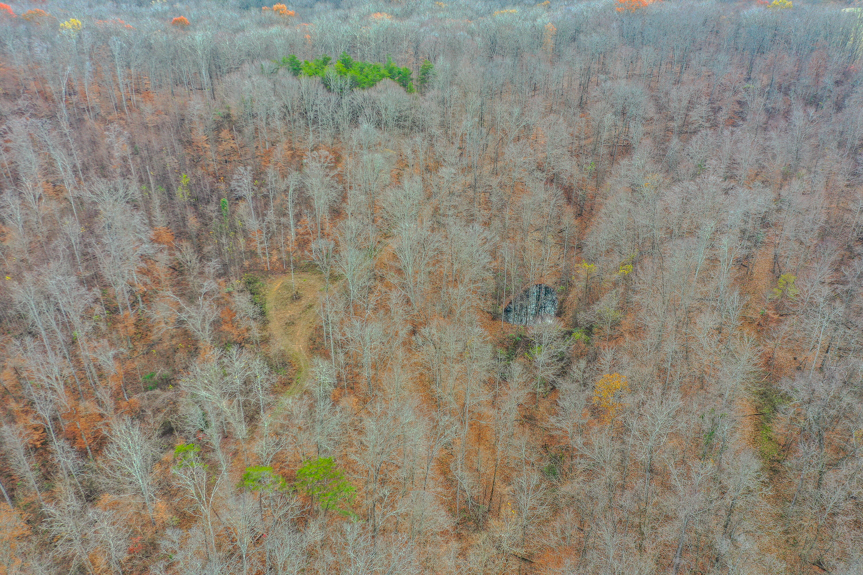 336 Big Branch Road Beattyville, KY 41311 - Photo 44 of 66 2-7