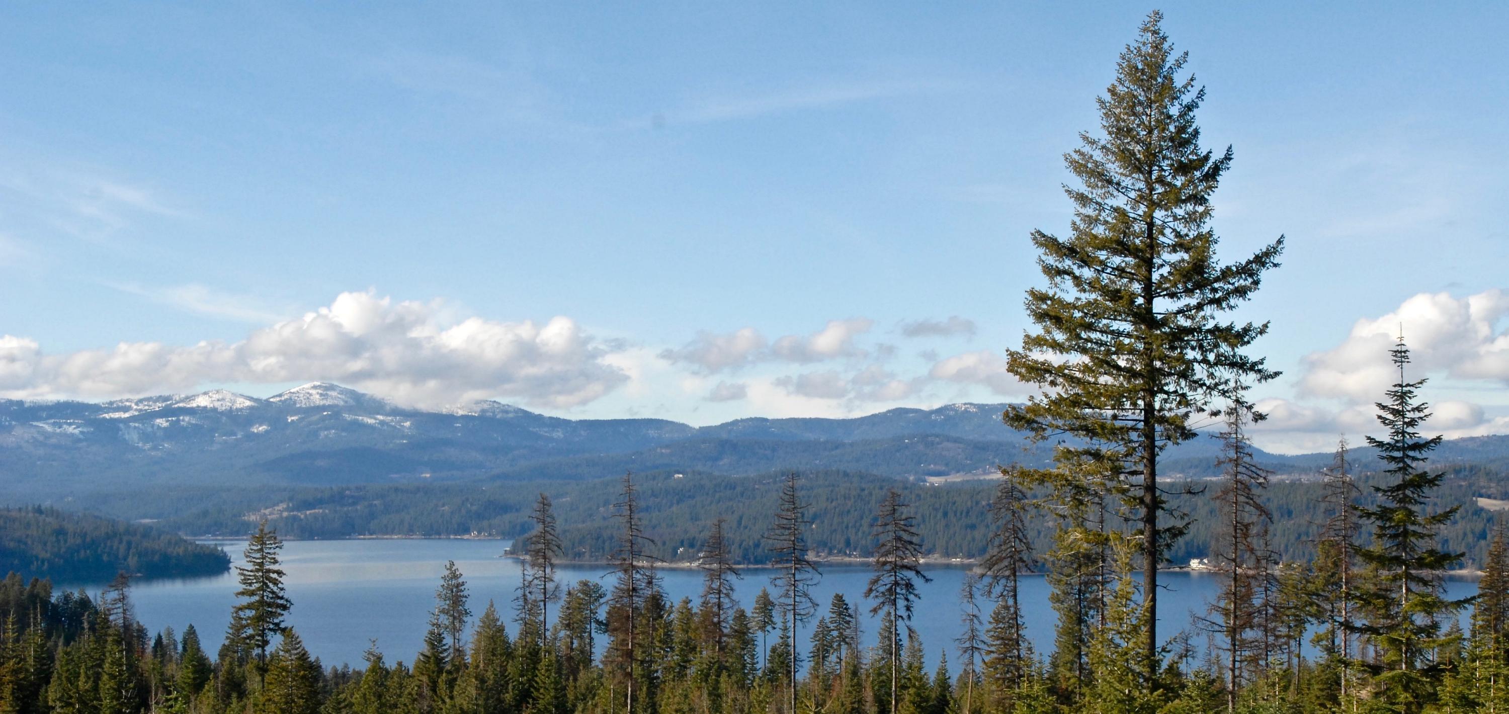 L2-b7 South Kula Road Harrison, ID 83833 - Photo 1 of 1 lot 29 view from pad