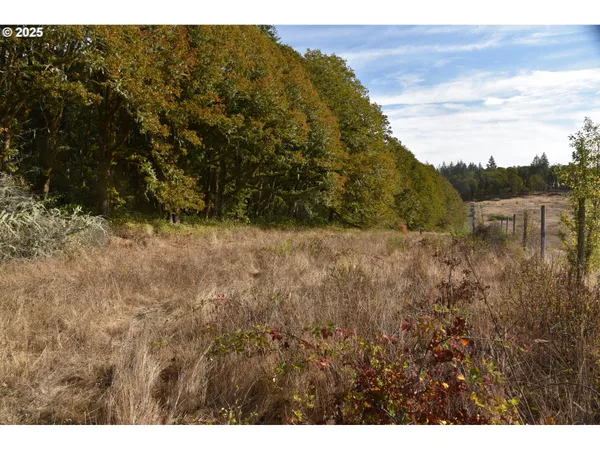 $1,425,000 | 21140 Salmon River Highway, Sheridan, OR 97378