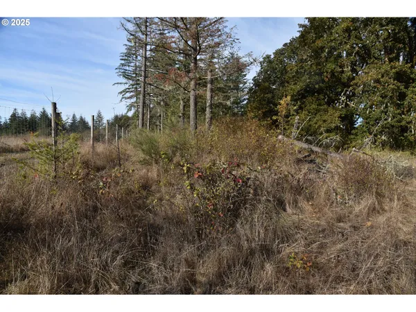 $1,425,000 | 21140 Salmon River Highway, Sheridan, OR 97378