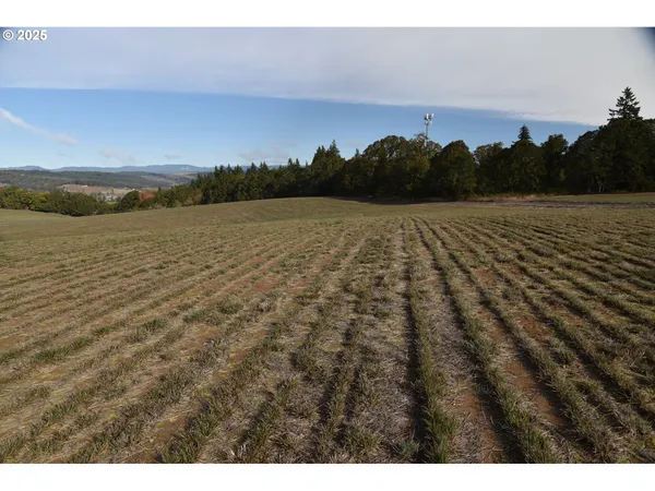 $1,425,000 | 21140 Salmon River Highway, Sheridan, OR 97378