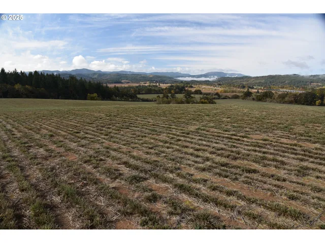 $1,525,000 | 21140 Salmon River Highway, Sheridan, OR 97378