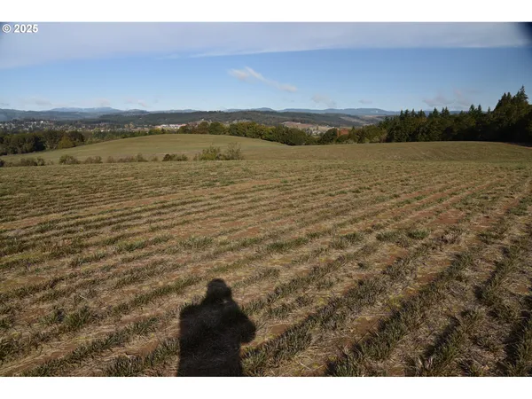 $1,425,000 | 21140 Salmon River Highway, Sheridan, OR 97378