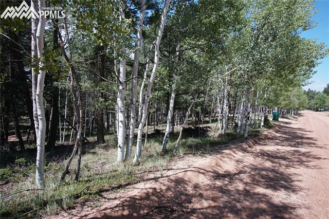 151 Kutsu Ridge Road Florissant, CO 80816 - Photo 2 of 2