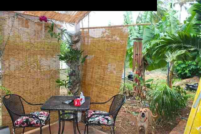 5000 B Lower Honoapiilani Road Lahaina, HI 96761 - Photo 20 of 23 Gallery Image 20