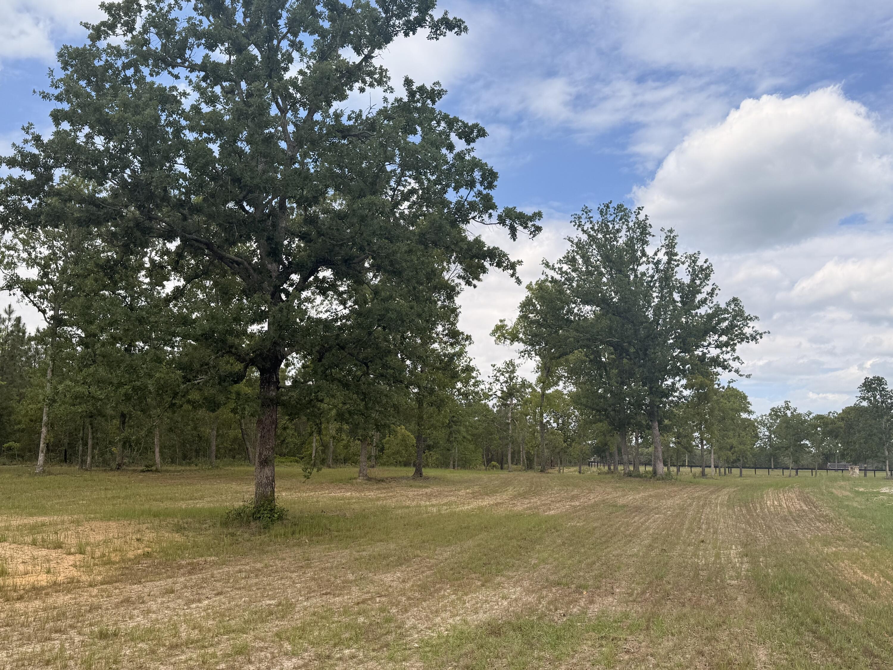 220 Tandem Trail Windsor, SC 29856 - Photo 23 of 48