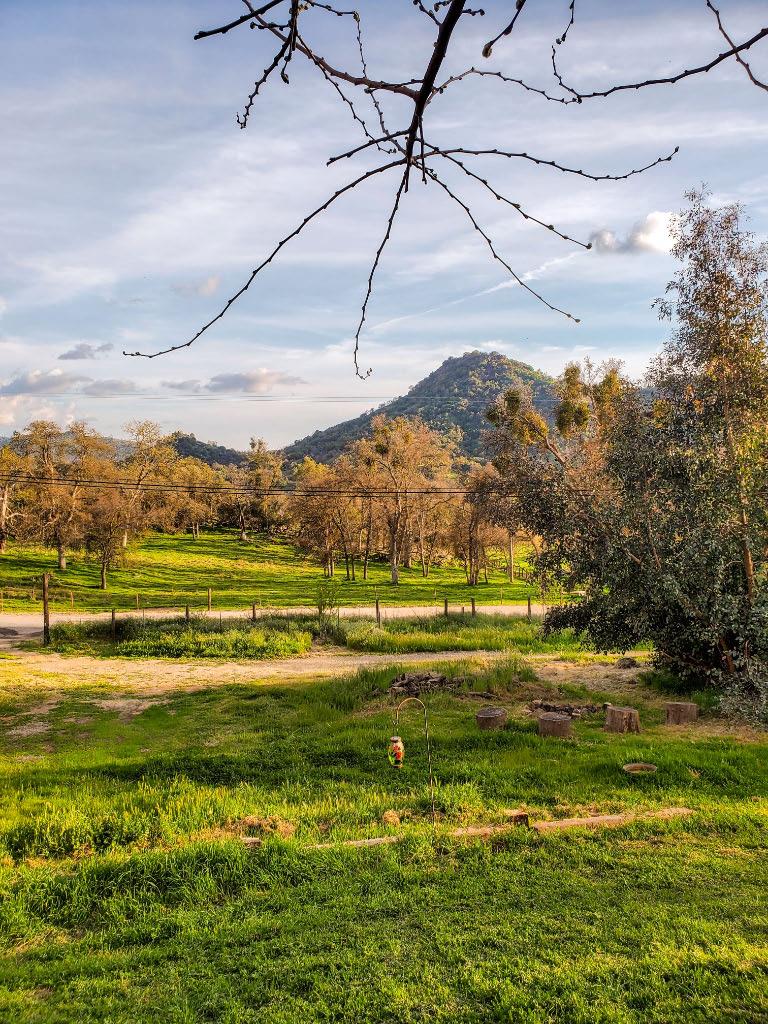 38152 Ruth Hill Road Squaw Valley, CA 93675 - Photo 16 of 22