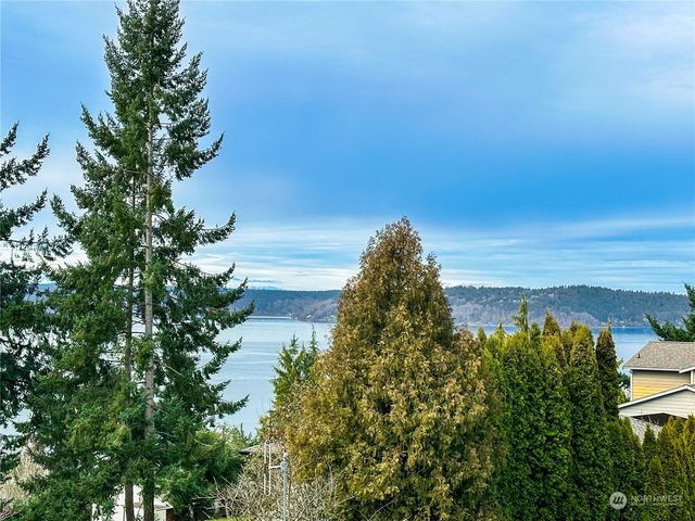 a view of a lake with a garden