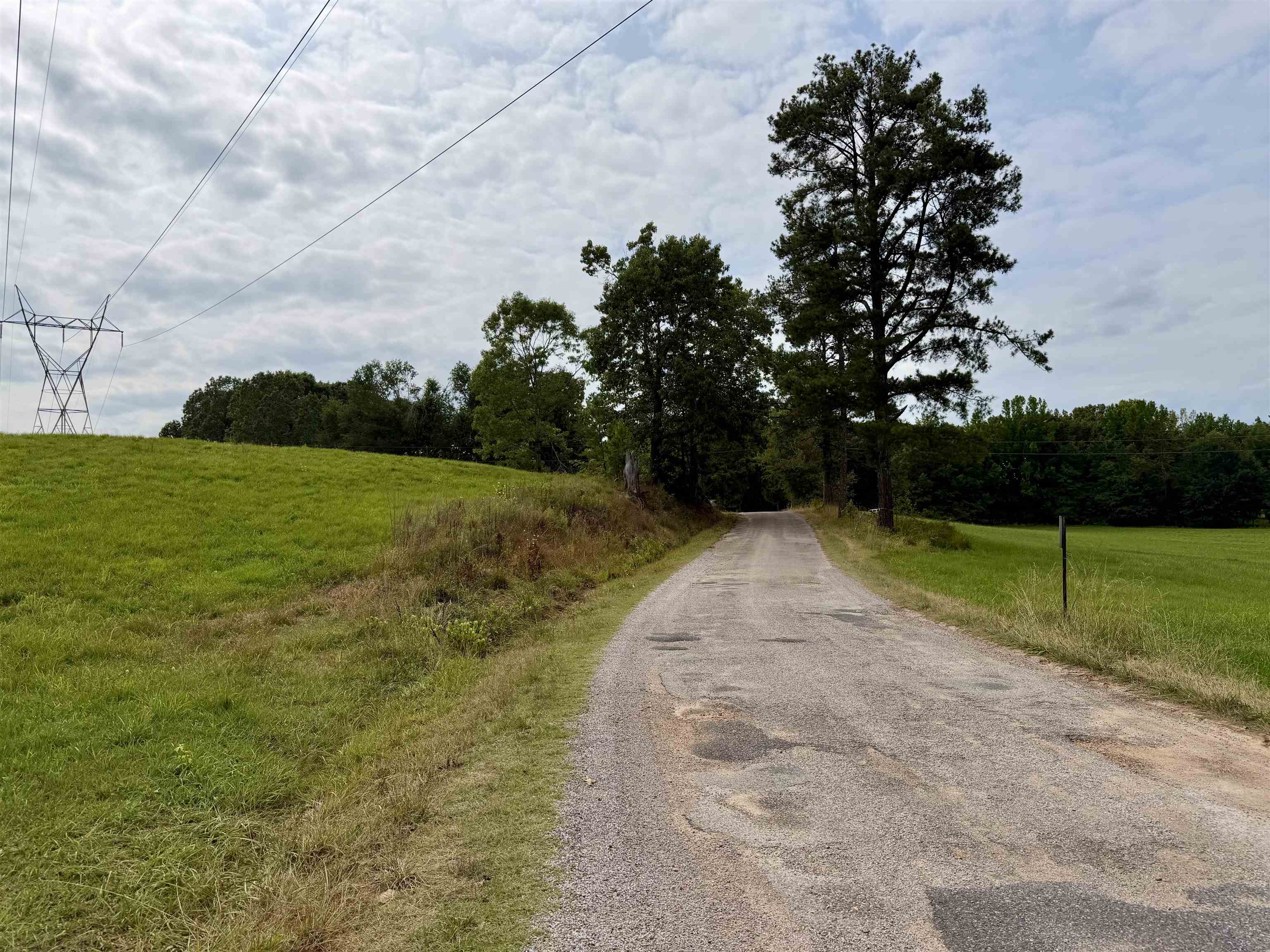 0 Dee Moore Road Selmer, TN 38375 - Photo 3 of 10 a view of a park