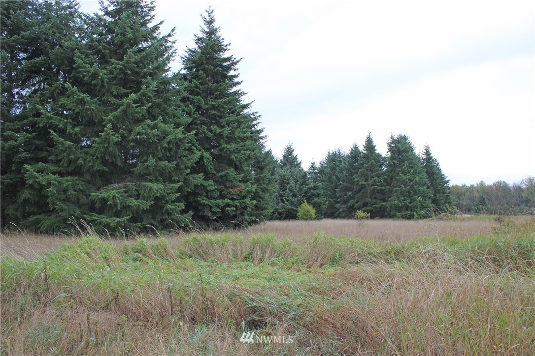 18425 Roseburg Rochester, WA 98579 - Photo 18 of 18
