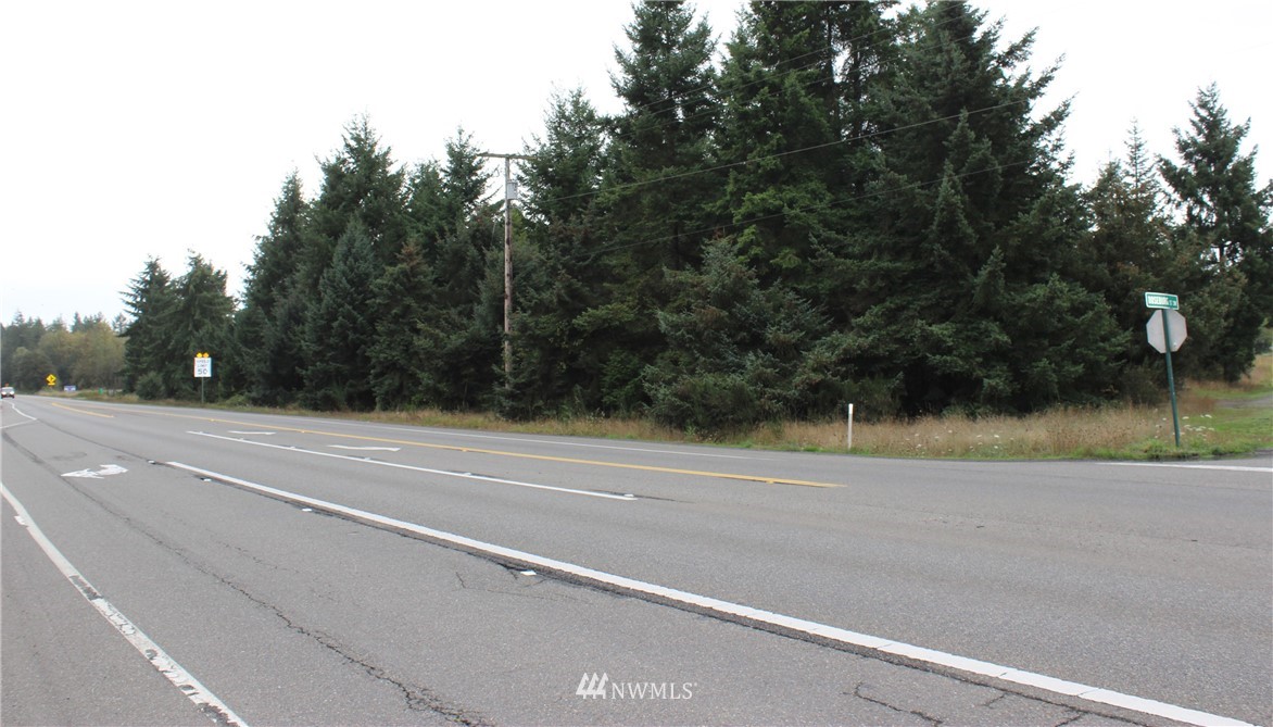 18425 Roseburg Rochester, WA 98579 - Photo 3 of 18