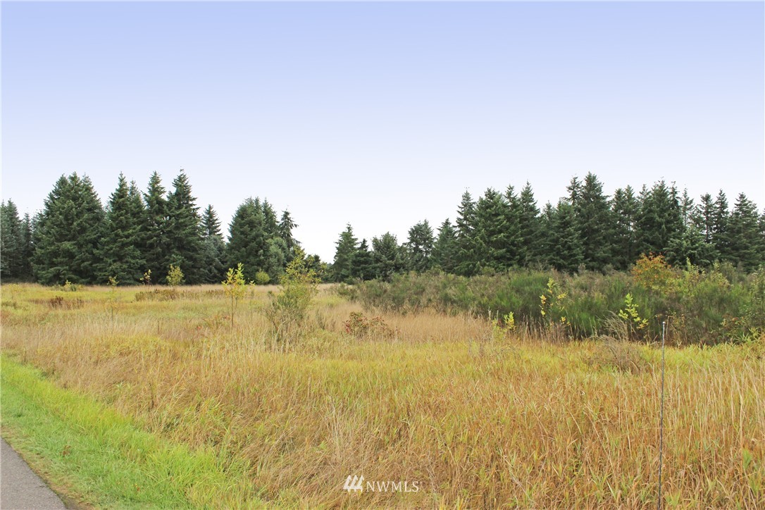 18425 Roseburg Rochester, WA 98579 - Photo 8 of 18