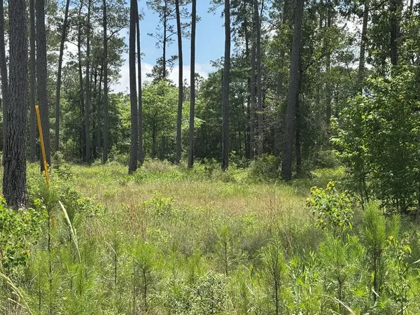 a view of outdoor space and green space