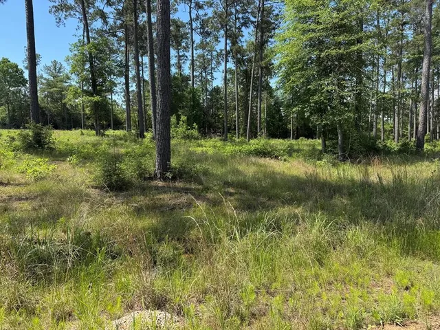 a view of backyard with green space