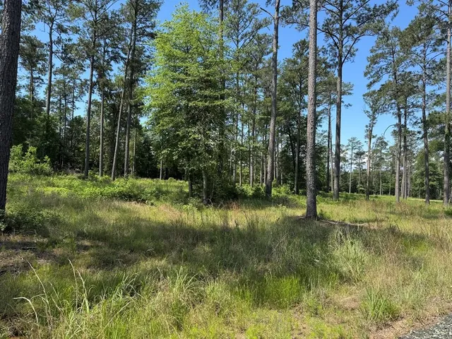 a view of swimming pool with a yard