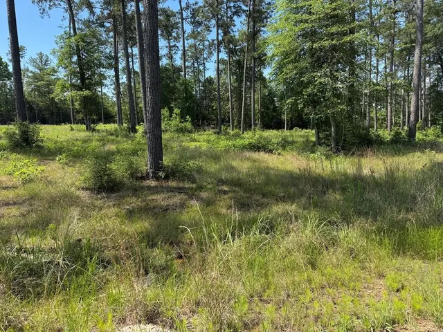 a view of outdoor space with green field and trees
