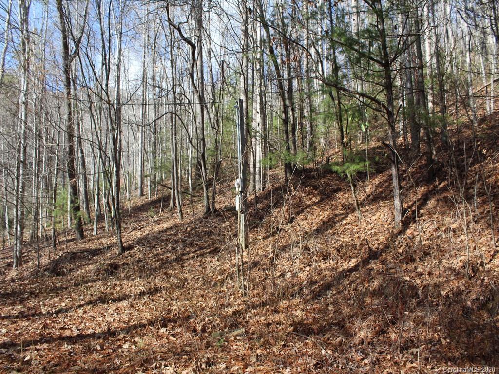 0 Laurel Branch Road, Unit 10 Waynesville, NC 28785 - Photo 2 of 10 a view of forest