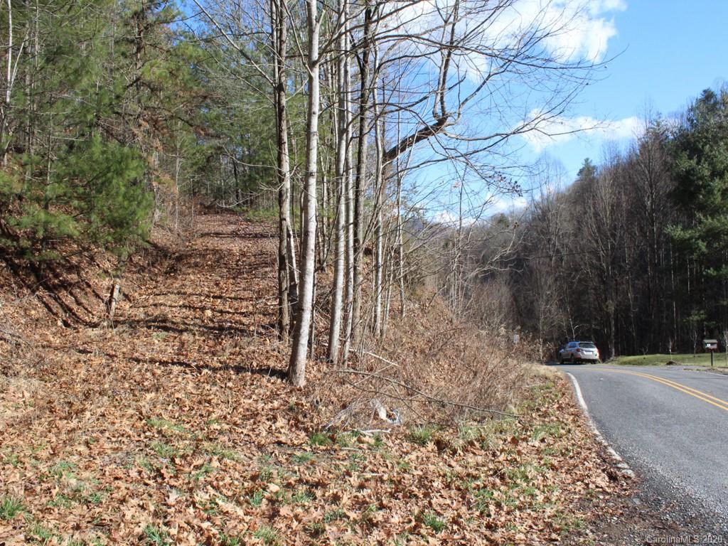 0 Laurel Branch Road, Unit 10 Waynesville, NC 28785 - Photo 3 of 10 a view of a yard with trees on both side of it