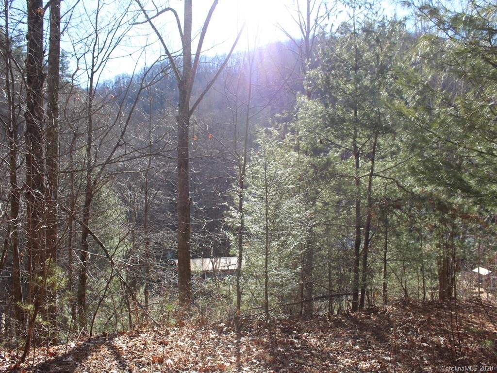 0 Laurel Branch Road, Unit 10 Waynesville, NC 28785 - Photo 5 of 10 a backyard of a house with lots of trees