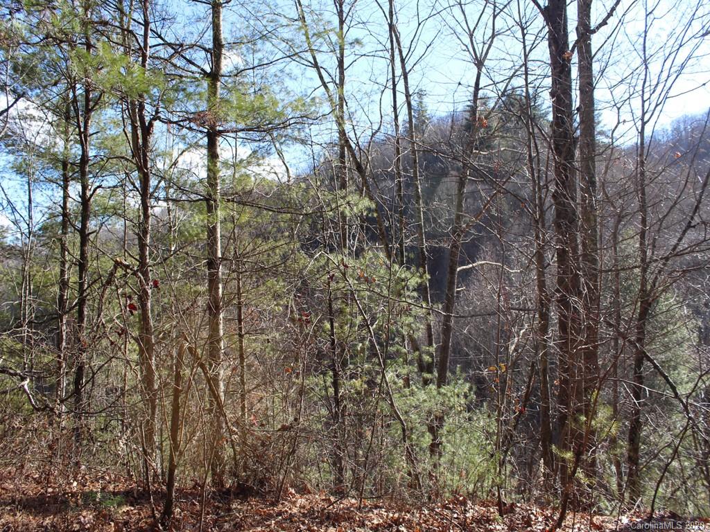 0 Laurel Branch Road, Unit 10 Waynesville, NC 28785 - Photo 6 of 10 a backyard of a house with lots of trees