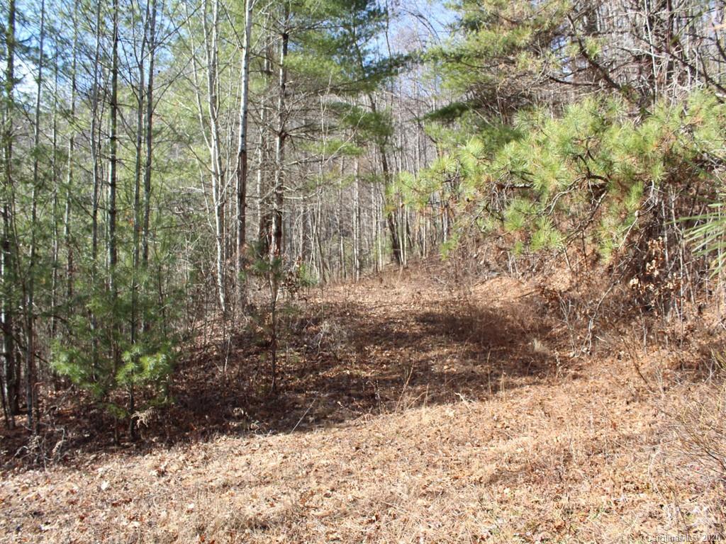 0 Laurel Branch Road, Unit 10 Waynesville, NC 28785 - Photo 7 of 10 a view of a yard with trees