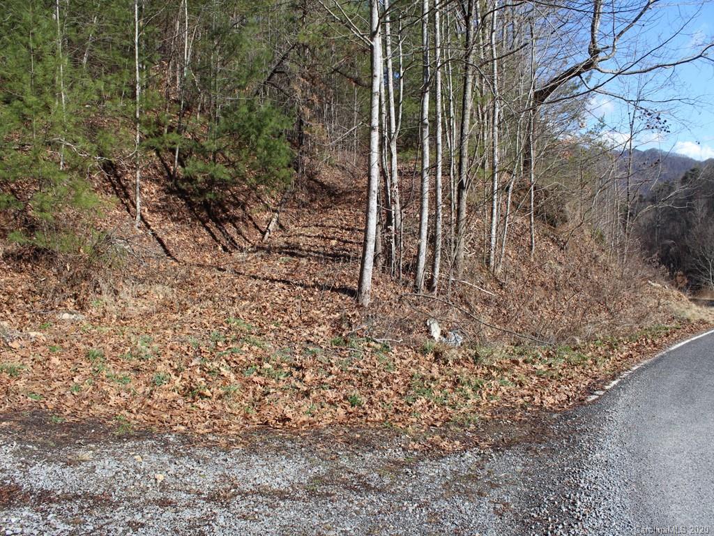 0 Laurel Branch Road, Unit 10 Waynesville, NC 28785 - Photo 8 of 10 a view of a backyard of the house