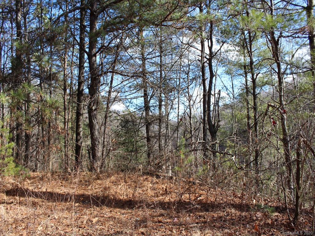 0 Laurel Branch Road, Unit 10 Waynesville, NC 28785 - Photo 9 of 10 a backyard of a house with lots of trees