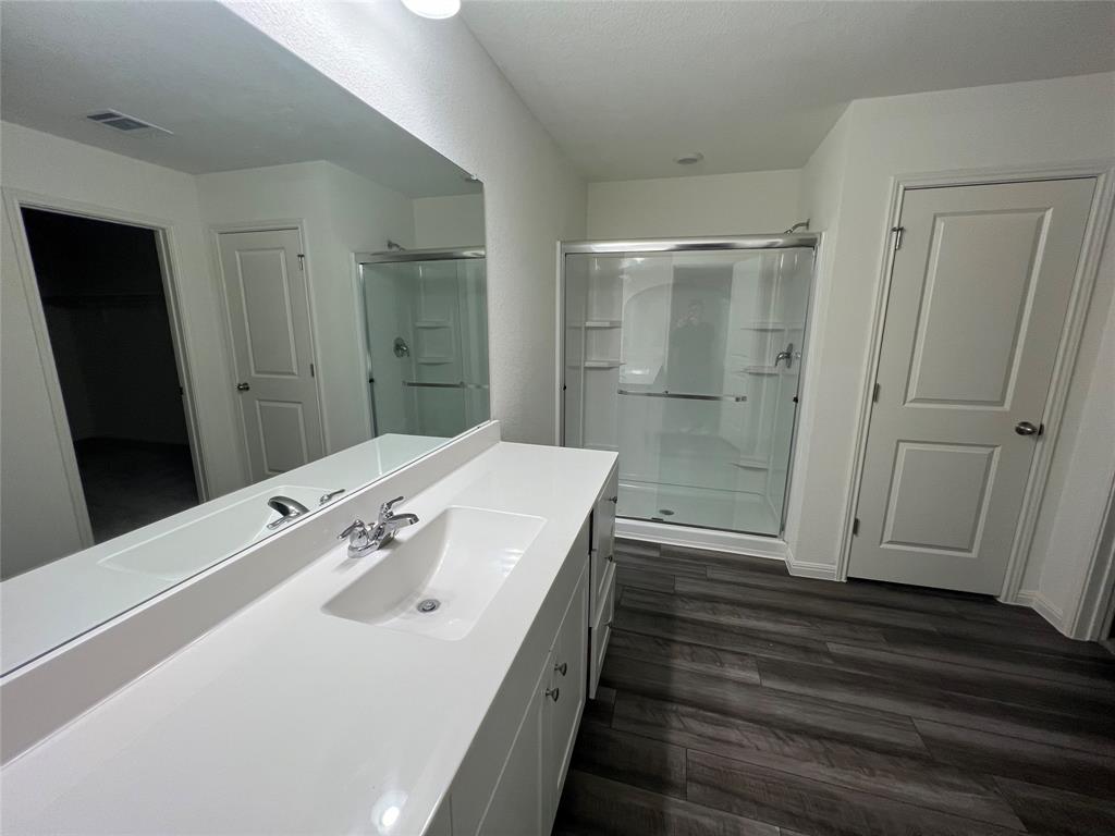 309 Redfish Lane Hutto, TX 78634 - Photo 13 of 15 a bathroom with a sink and a mirror