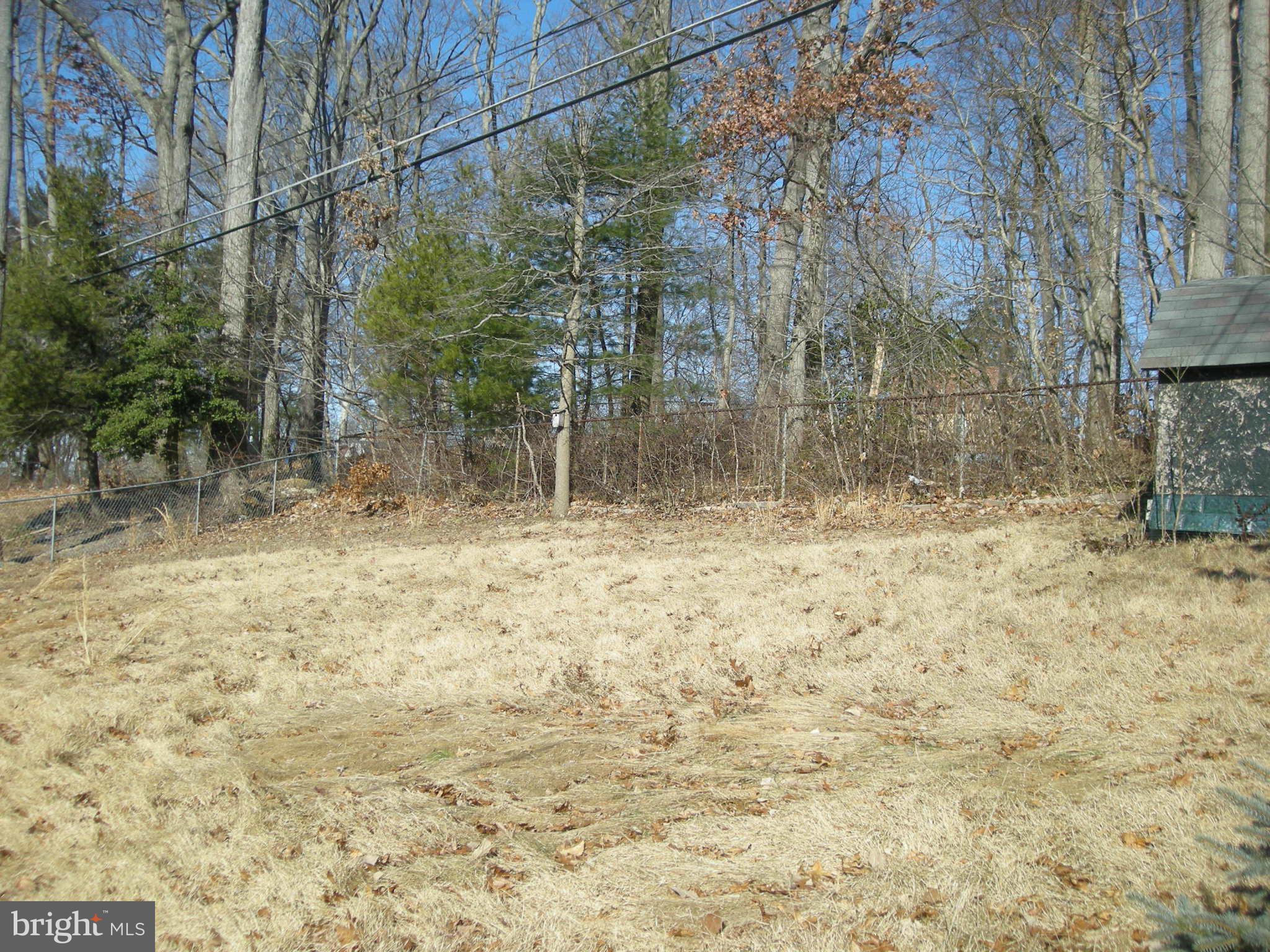 1932 Harewood Road Edgewood, MD 21040 - Photo 7 of 14 Yard backs to trees