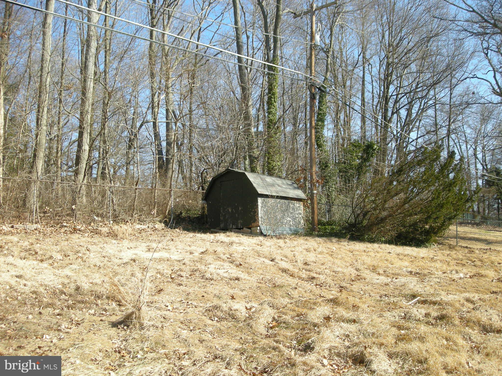 1932 Harewood Road Edgewood, MD 21040 - Photo 8 of 14 Yard backs to trees (shed "as-is")
