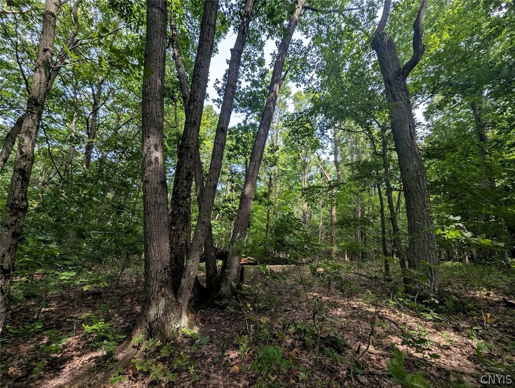 Keifer Hollow Road Dansville, NY 14437 - Photo 16 of 33