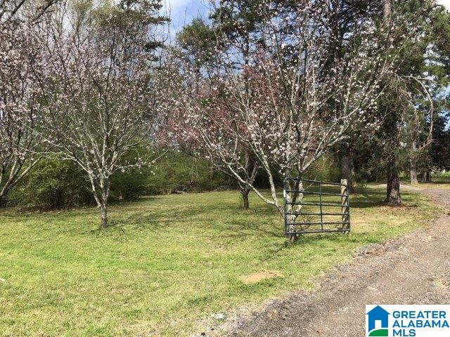 3041 Karl Daly Road, Unit 1 Birmingham, AL 35210 - Photo 2 of 18