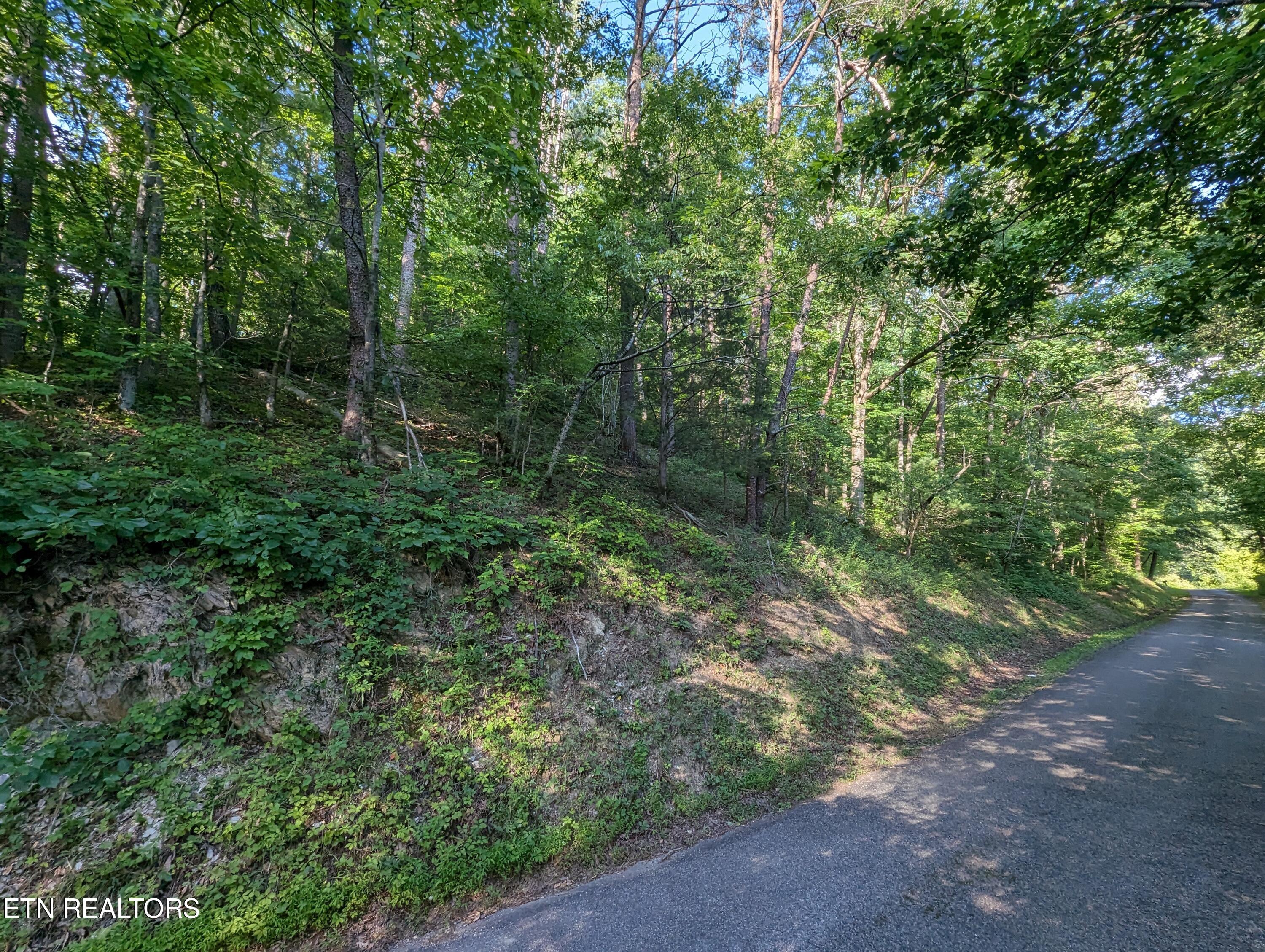 PXL_20240610_224610749