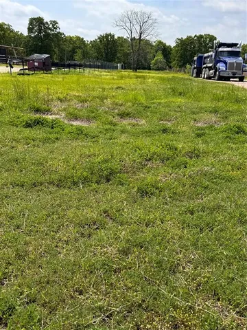 a big yard with lots of green space