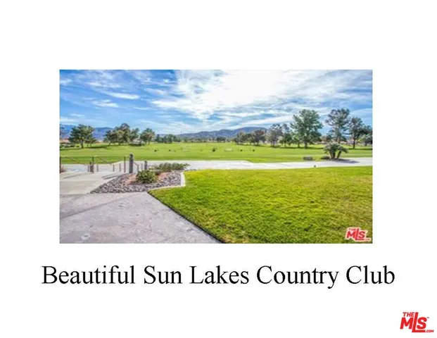 a view of a bunch of flowers