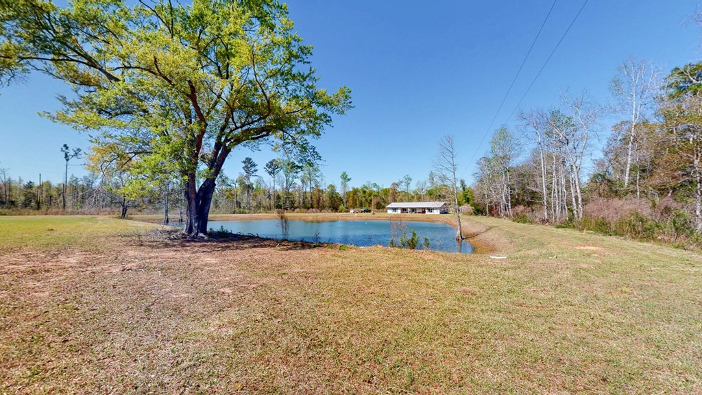 6615 State Line Road Cottonwood, AL 36320 - Photo 6 of 49