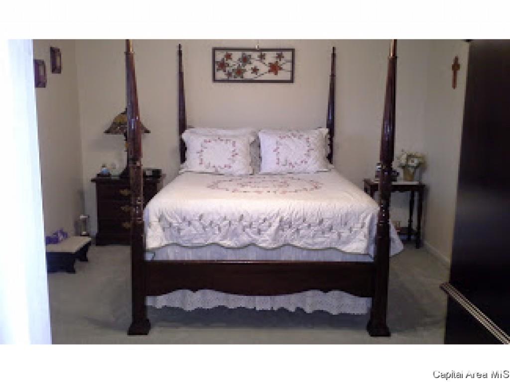39 Woods Mill Road Sherman, IL 62684 - Photo 17 of 24 Gallery Image 17