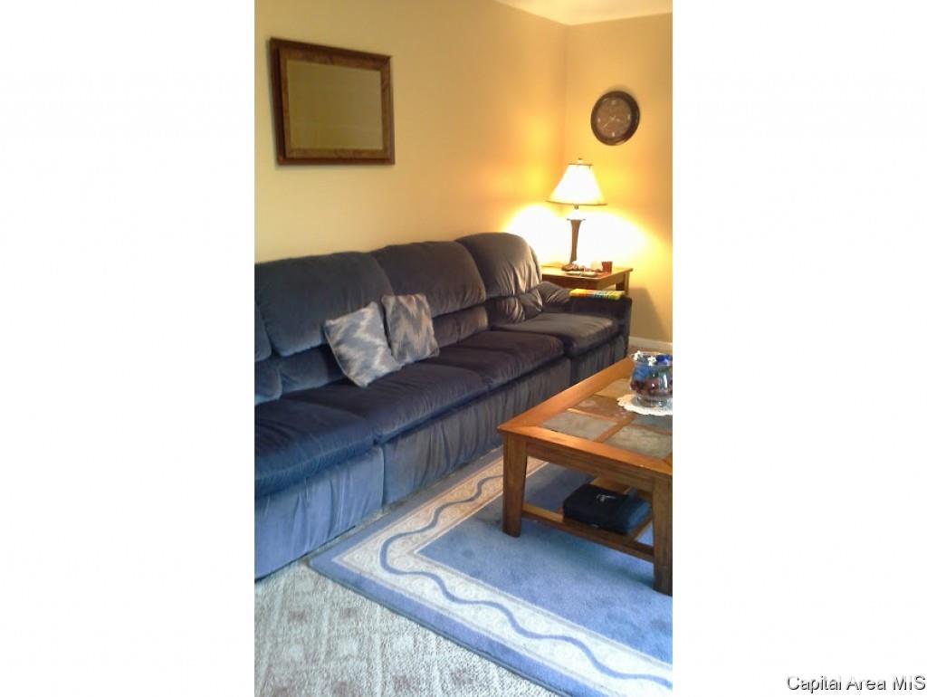 39 Woods Mill Road Sherman, IL 62684 - Photo 9 of 24 Gallery Image 9