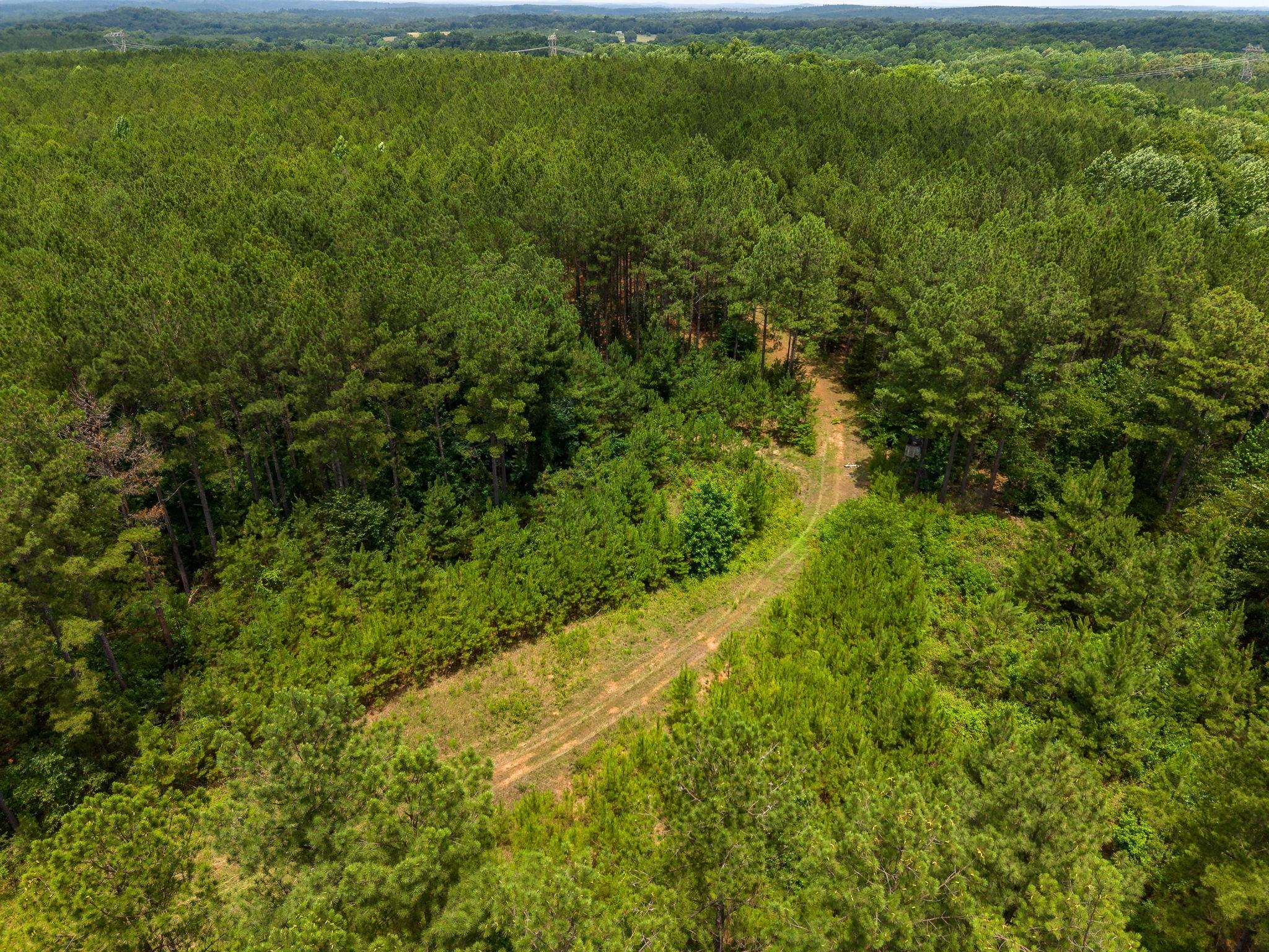 1 Quail Hollow Road Sharon, SC 29742 - Photo 17 of 27