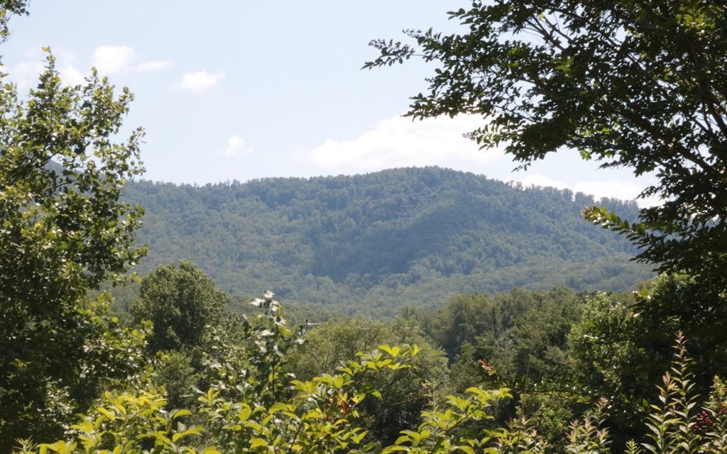 2-3 Mt Tabor Road Topton, NC 28781 - Photo 4 of 4 Additional View