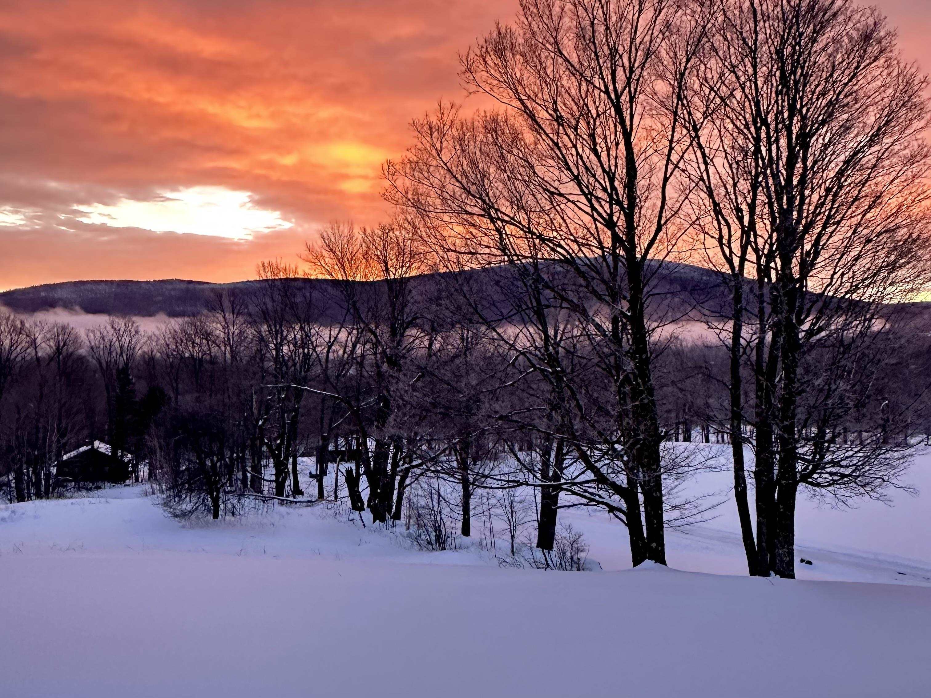 430 Fenn Road Mount Holly, VT 05758 - Photo 58 of 60 Gallery Image 58