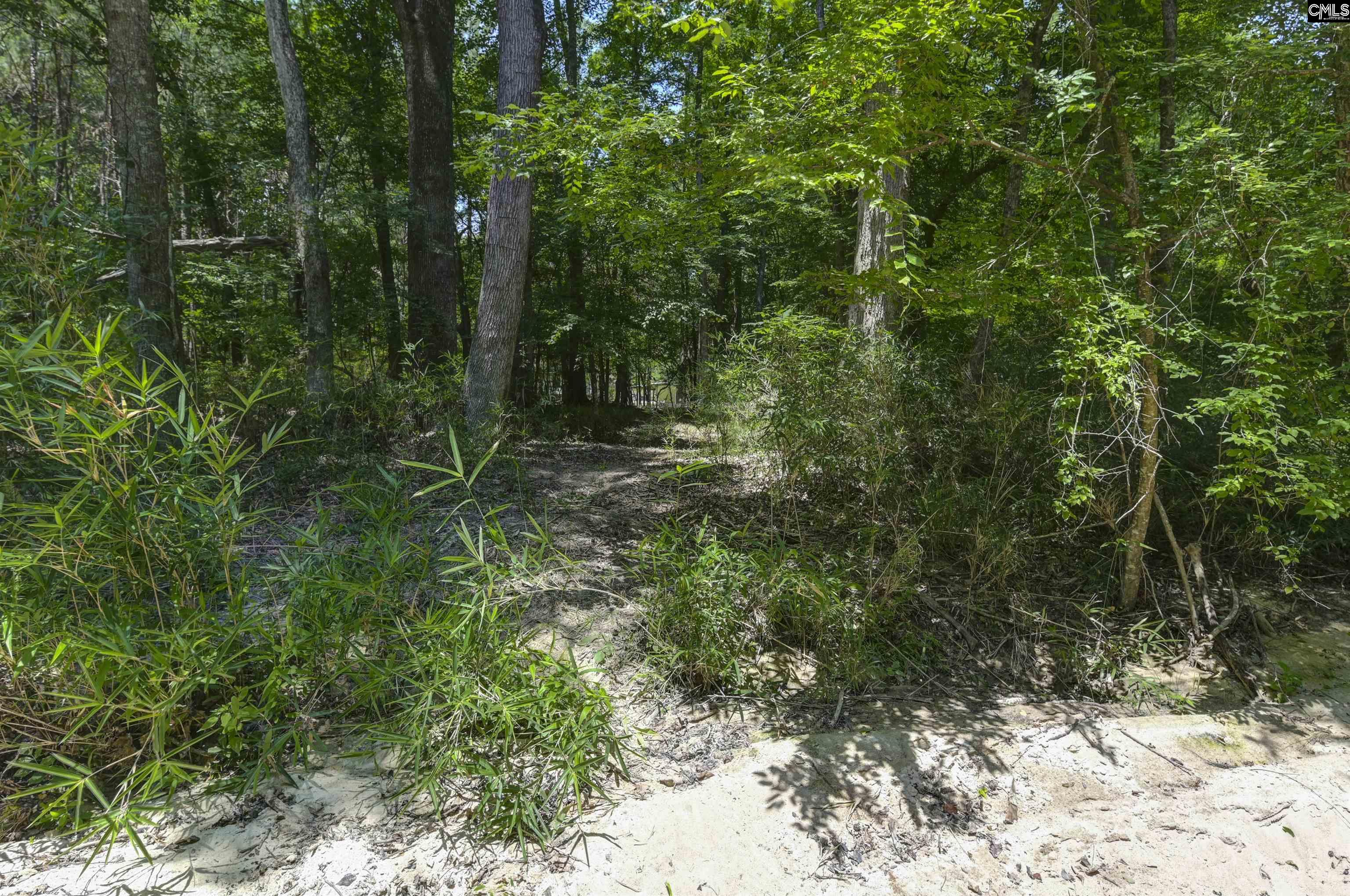 317 Horse Cove Road Gilbert, SC 29054 - Photo 31 of 86